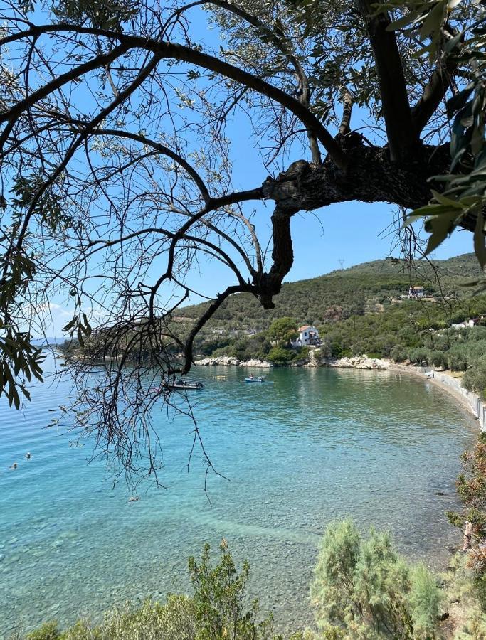 Villa Sunset Of Pelion Kato Gatzea Exterior foto